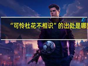 “可怜杜花不相识”的出处是哪里