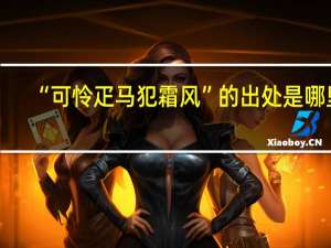 “可怜疋马犯霜风”的出处是哪里