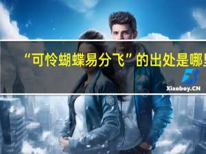 “可怜蝴蝶易分飞”的出处是哪里