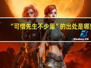“可惜先生不少留”的出处是哪里
