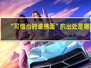 “可惜当时谁拂面”的出处是哪里