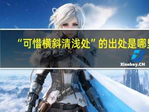 “可惜横斜清浅处”的出处是哪里