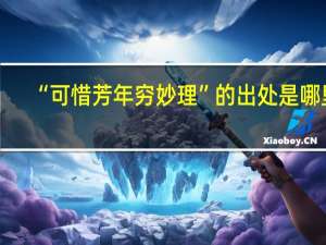 “可惜芳年穷妙理”的出处是哪里