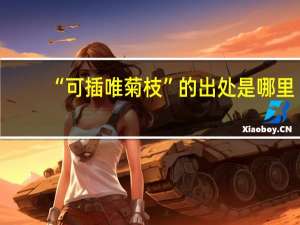 “可插唯菊枝”的出处是哪里