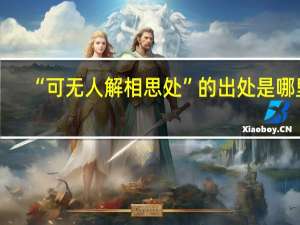 “可无人解相思处”的出处是哪里