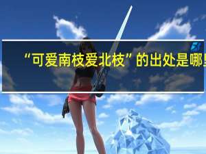 “可爱南枝爱北枝”的出处是哪里