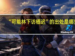 “可能林下访栖迟”的出处是哪里