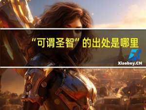 “可谓圣智”的出处是哪里
