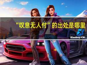 “叹息无人付”的出处是哪里