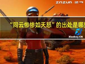 “同云惨惨如天怒”的出处是哪里