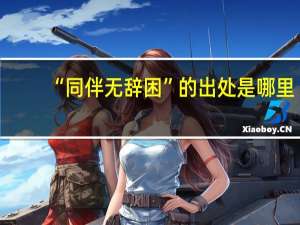 “同伴无辞困”的出处是哪里