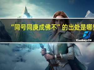 “同号同庚成佛不”的出处是哪里