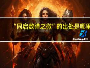“同启数弹之微”的出处是哪里