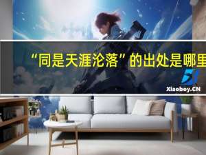 “同是天涯沦落”的出处是哪里