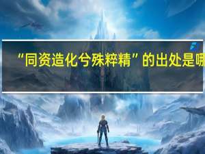 “同资造化兮殊粹精”的出处是哪里