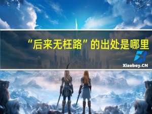 “后来无枉路”的出处是哪里