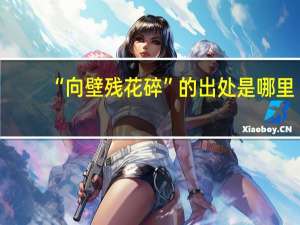 “向壁残花碎”的出处是哪里