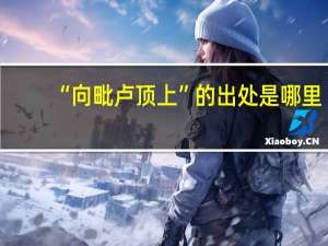 “向毗卢顶上”的出处是哪里