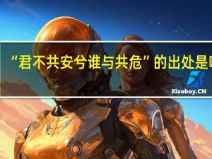 “君不共安兮谁与共危”的出处是哪里