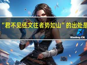 “君不见伾文往者势如山”的出处是哪里