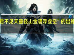 “君不见天童径山金碧浮虚空”的出处是哪里