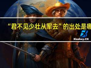 “君不见少壮从军去”的出处是哪里