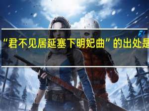 “君不见居延塞下明妃曲”的出处是哪里