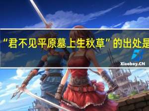 “君不见平原墓上生秋草”的出处是哪里