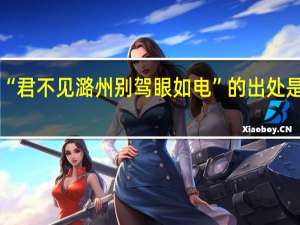 “君不见潞州别驾眼如电”的出处是哪里