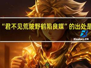 “君不见荒陂野鹤陷良媒”的出处是哪里