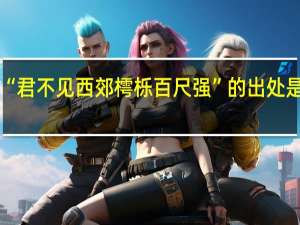 “君不见西郊樗栎百尺强”的出处是哪里