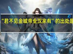 “君不见金城帝业汉家有”的出处是哪里