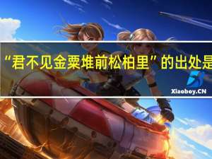 “君不见金粟堆前松柏里”的出处是哪里
