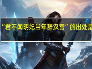 “君不闻明妃当年辞汉宫”的出处是哪里