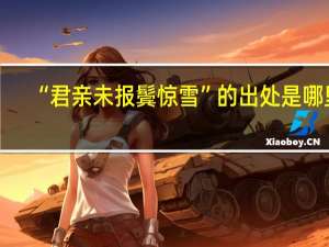 “君亲未报鬓惊雪”的出处是哪里