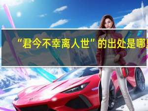 “君今不幸离人世”的出处是哪里