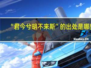 “君今兮胡不来斯”的出处是哪里