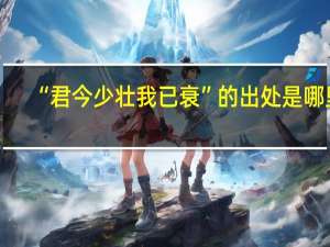 “君今少壮我已衰”的出处是哪里