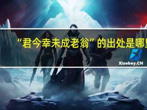 “君今幸未成老翁”的出处是哪里
