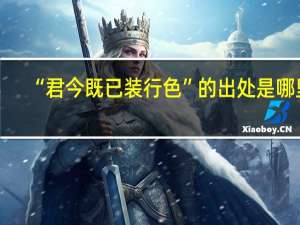 “君今既已装行色”的出处是哪里