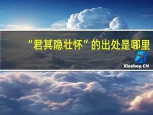 “君其隐壮怀”的出处是哪里