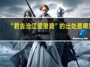 “君去沧江望澄碧”的出处是哪里