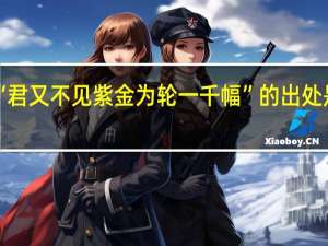 “君又不见紫金为轮一千幅”的出处是哪里