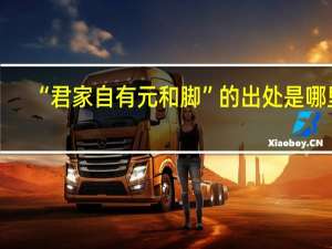 “君家自有元和脚”的出处是哪里