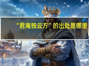 “君庵独云方”的出处是哪里