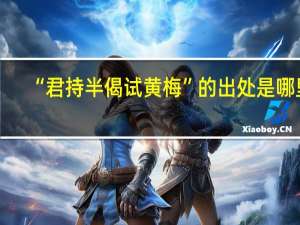 “君持半偈试黄梅”的出处是哪里