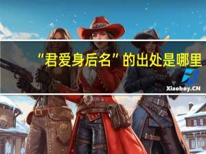 “君爱身后名”的出处是哪里