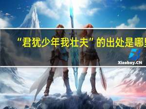 “君犹少年我壮夫”的出处是哪里