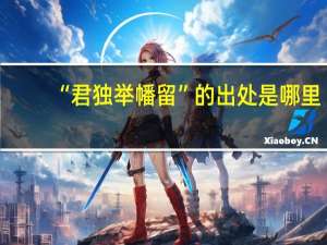 “君独举幡留”的出处是哪里