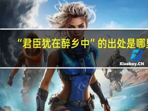“君臣犹在醉乡中”的出处是哪里